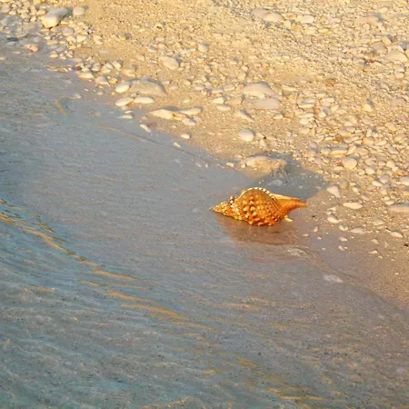 Charming House With Sea View In Potirna, Garden Vela Luka