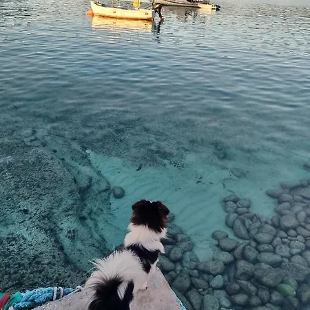 Charming House With Sea View In Potirna, Garden Vela Luka