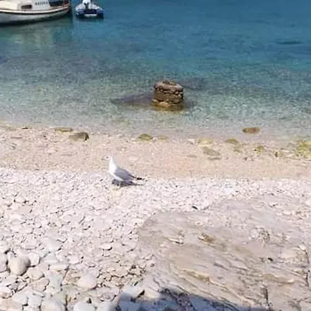 Charming House With Sea View In Potirna, Garden Hébergement de vacances